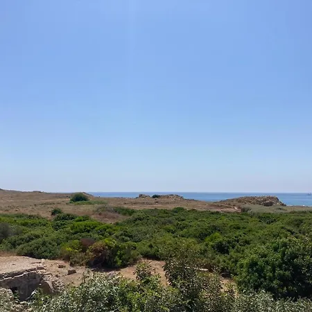 公寓 Ariadne Paphos