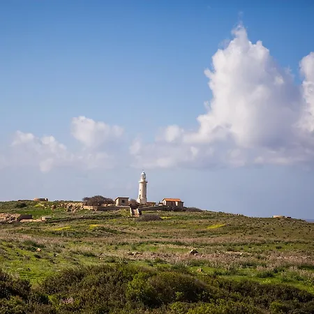 Ariadne * Paphos